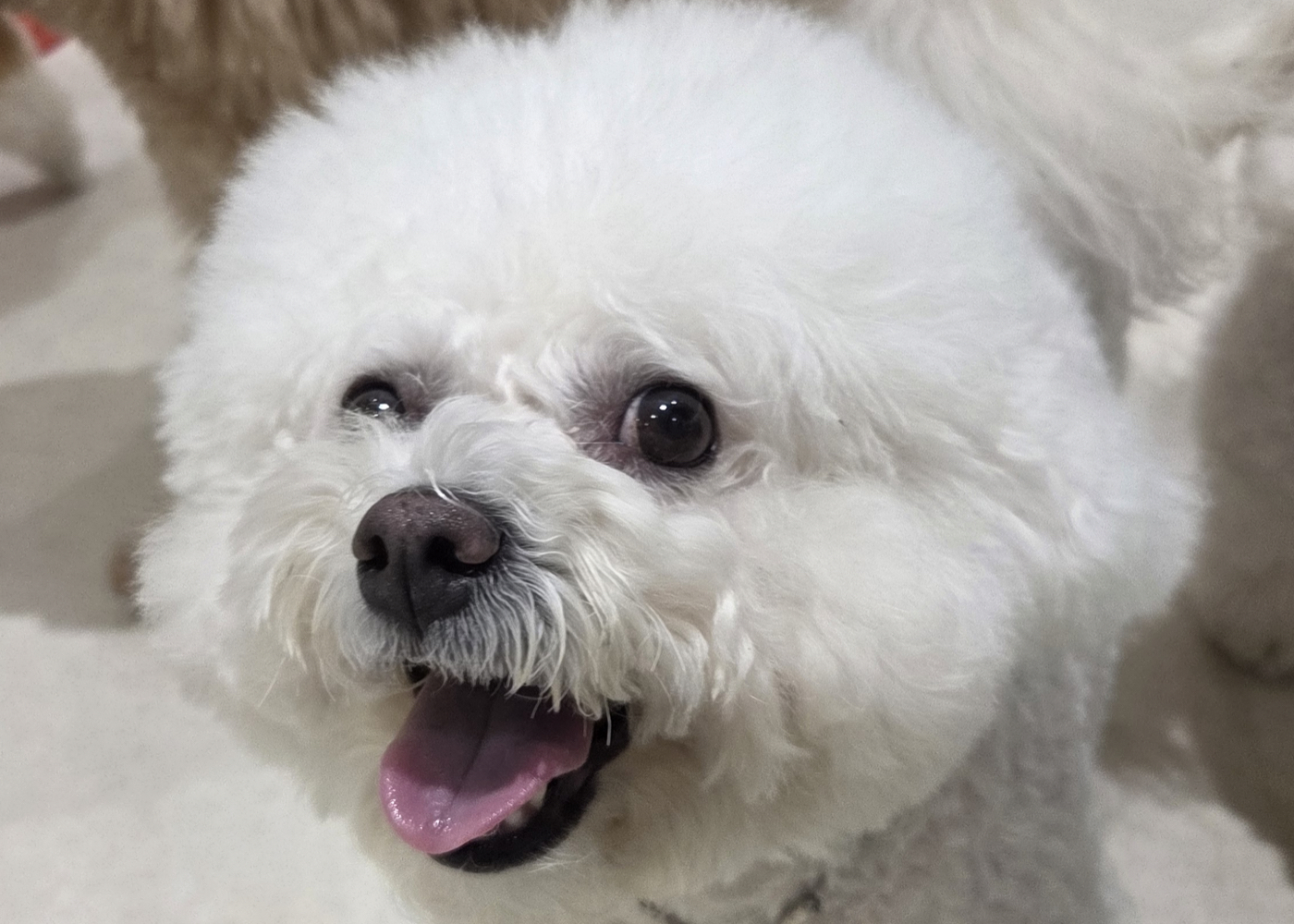 현장사진 4